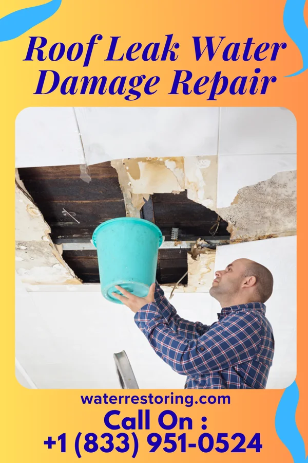 Roof Leak Water Damage Repair in Independence, UT